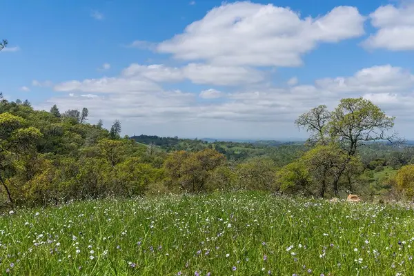 10865 Sunset Drive, Sutter Creek, CA 95685