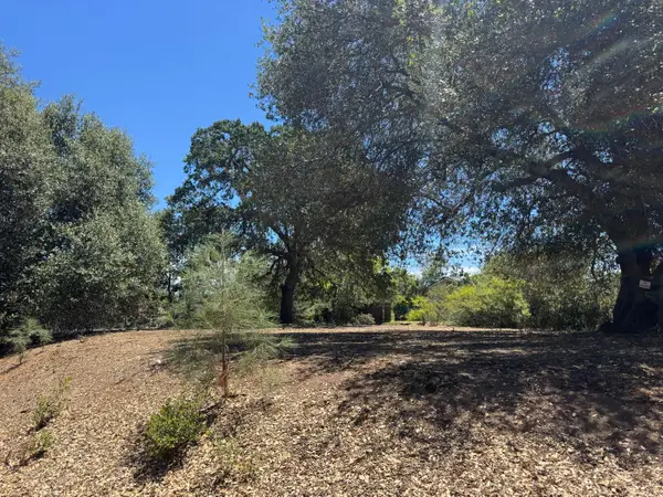 858 Mark Twain, Angels Camp, CA 95222