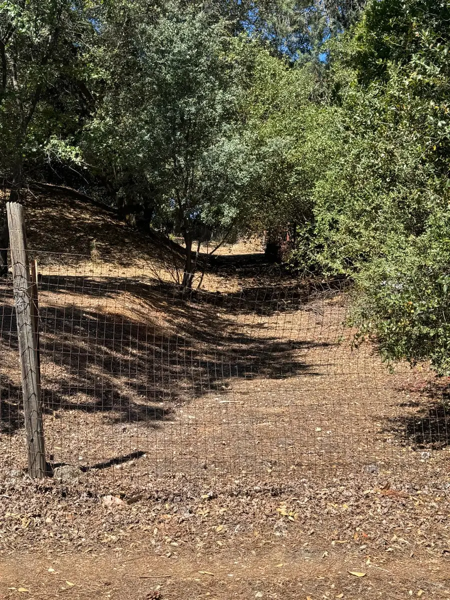 858 Mark Twain, Angels Camp, CA 95222 - #2