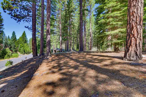 292 Mckenzie Trail, Clio, CA 96106