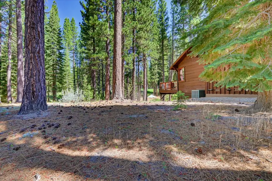 292 Mckenzie Trail, Clio, CA 96106 - #2