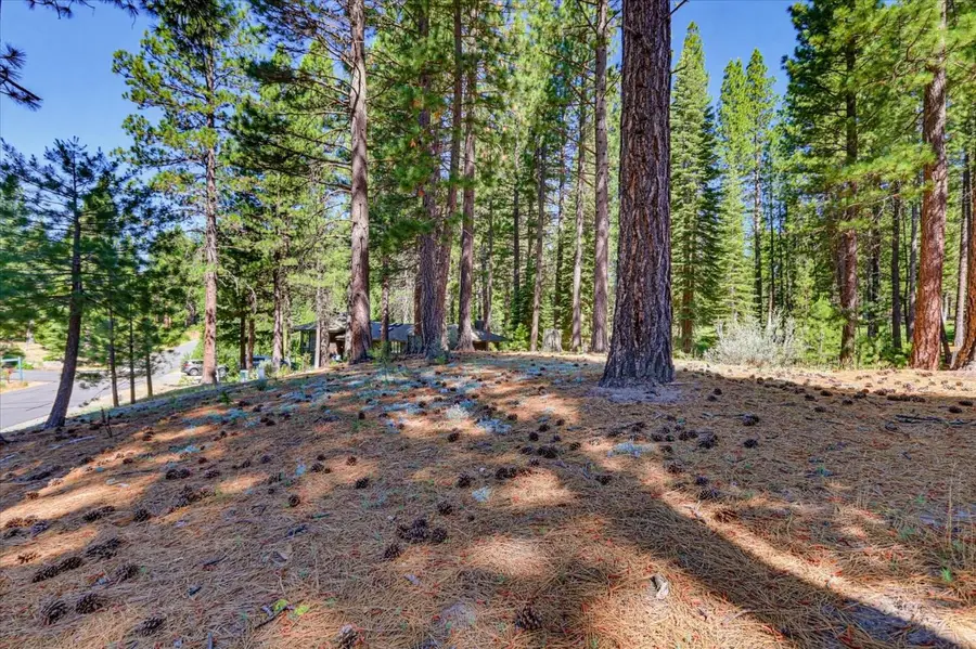 292 Mckenzie Trail, Clio, CA 96106 - #3