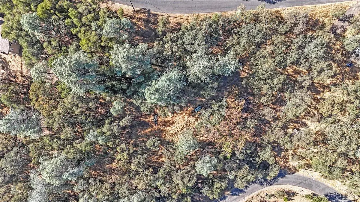 7000 Olympus Drive, Garden Valley, CA 95633 - #1