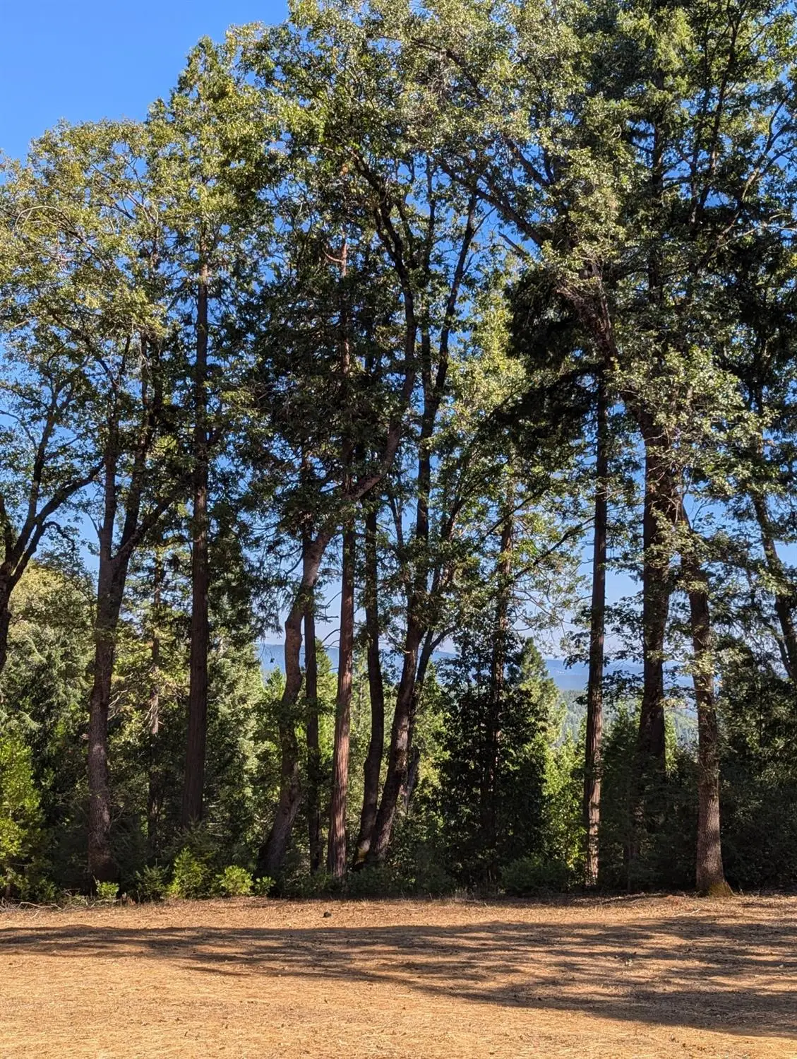 13625 Pegasus Place, Nevada City, CA 95959 - #1