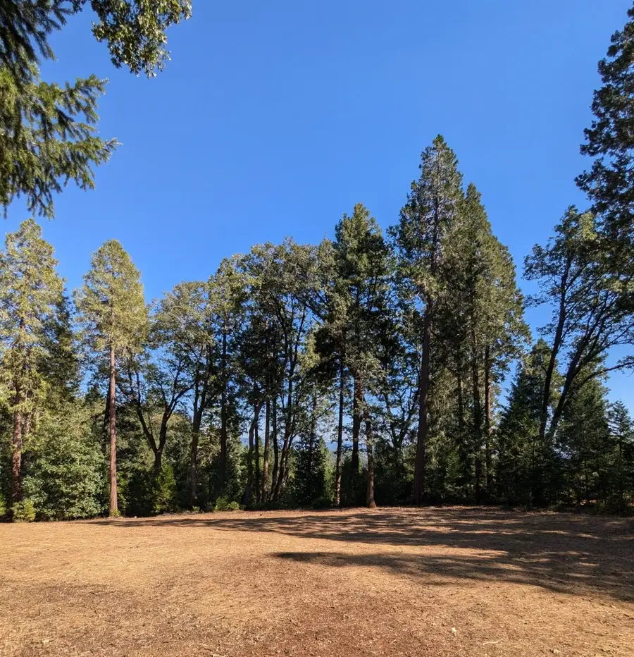13625 Pegasus Place, Nevada City, CA 95959 - #2