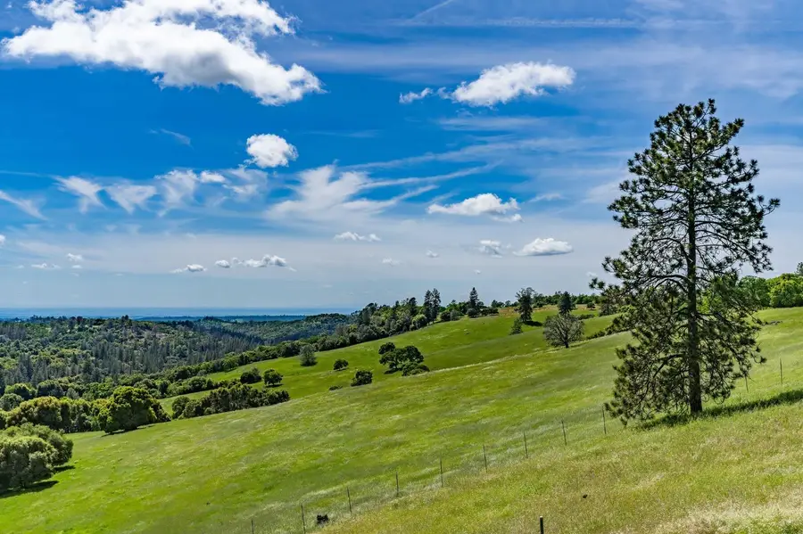 15111 Tyler Road, Fiddletown, CA 95629 - #2
