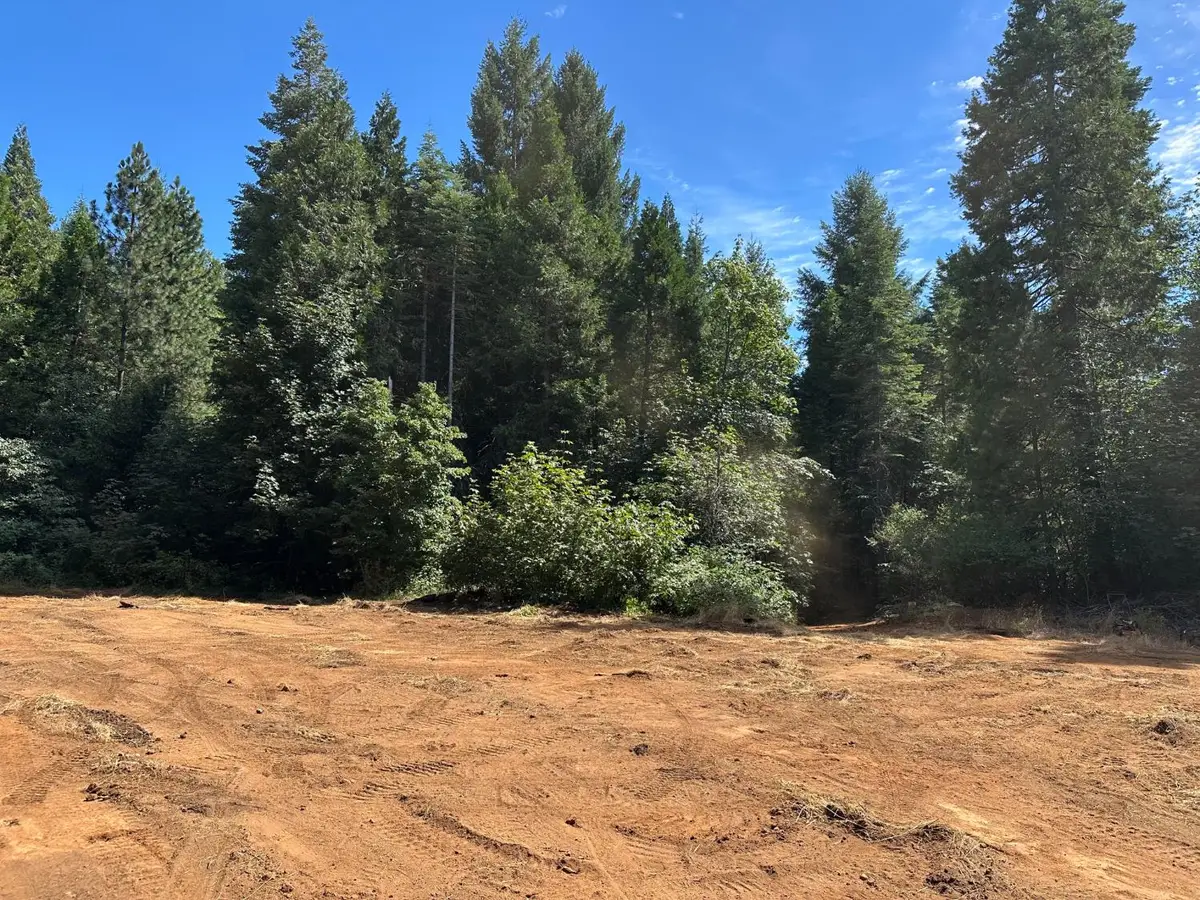 0 Caine, Alta, CA 95701 - #1