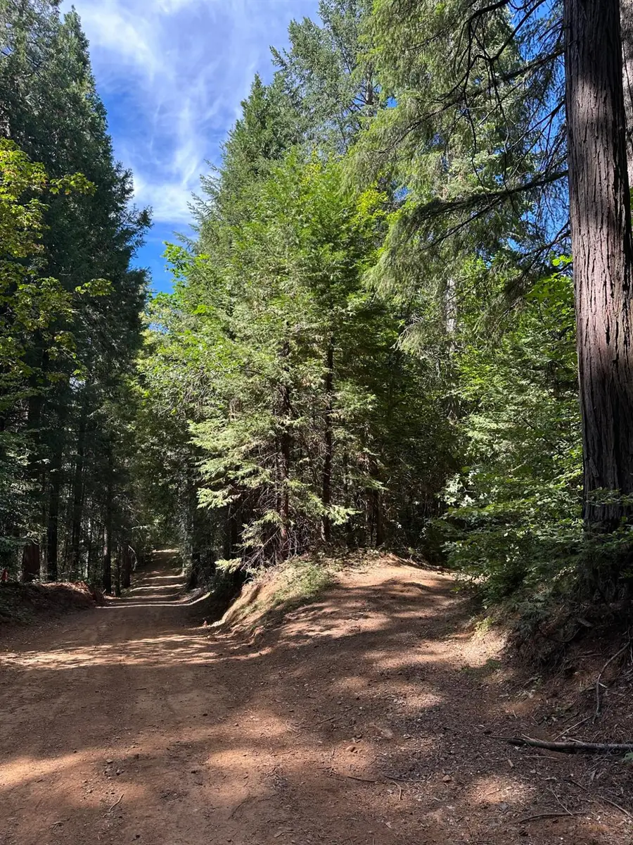 0 Caine, Alta, CA 95701 - #3