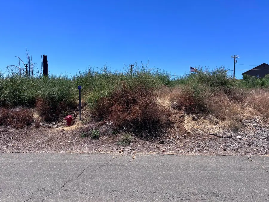 6731 Tyler Drive, Grizzly Flats, CA 95636 - #3