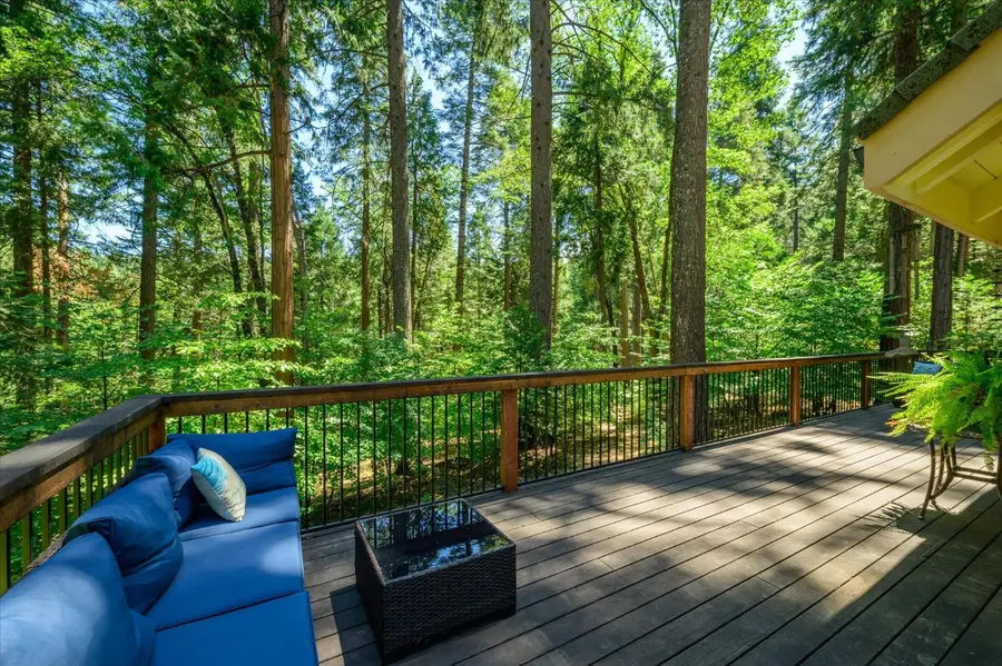 6801 Onyx Trail, Pollock Pines, CA 95726 - #3