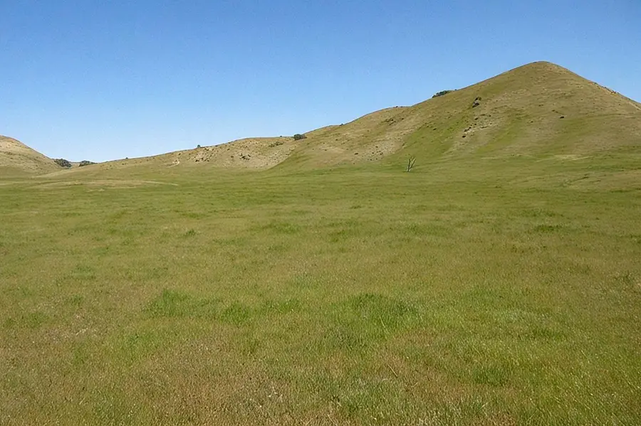 0 Hwy 198, Coalinga, CA 93210 - #2