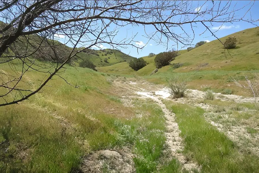 0 Hwy 198, Coalinga, CA 93210 - #3