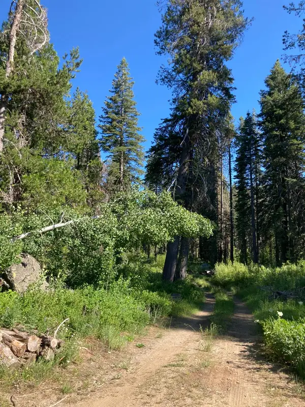 180 Bucks Meadow Drive, Bucks Lake, CA 95971
