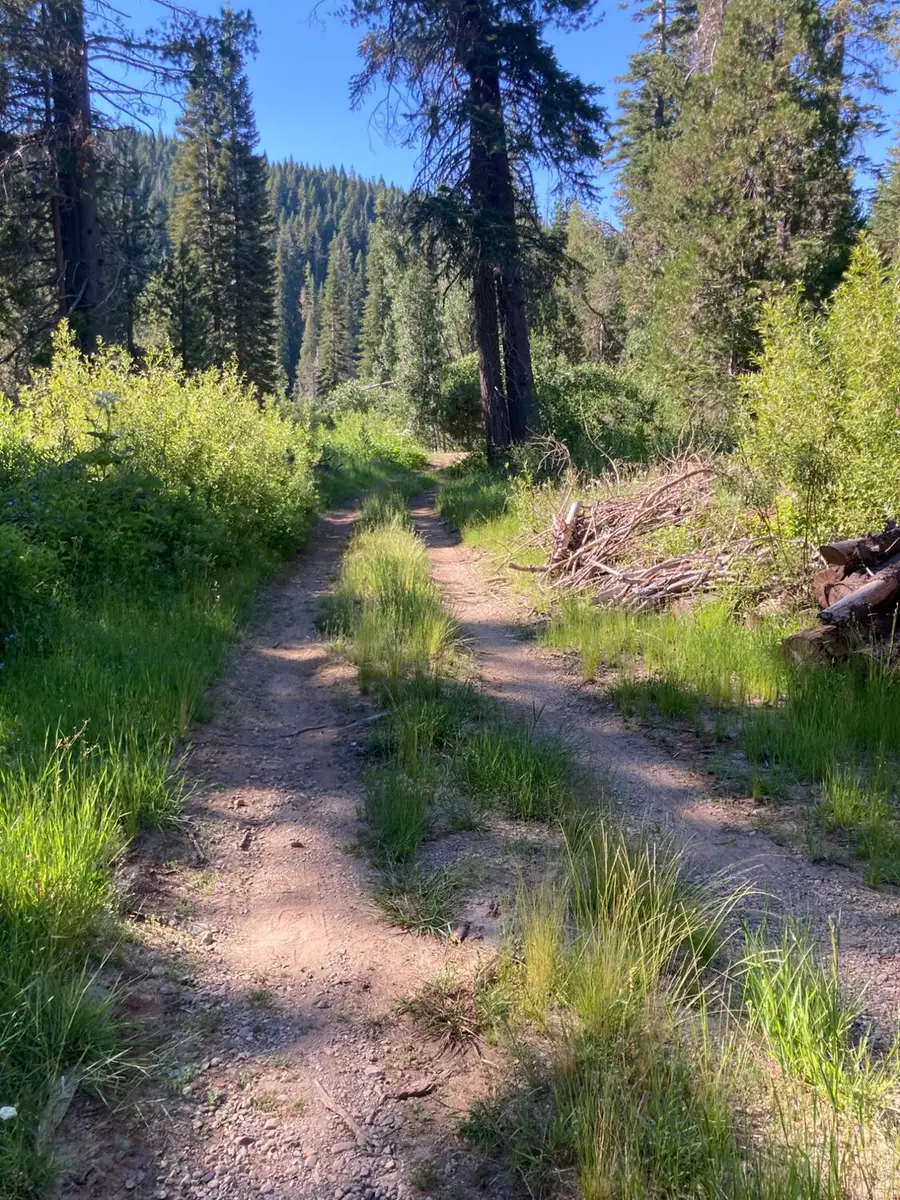 180 Bucks Meadow Drive, Bucks Lake, CA 95971 - #2