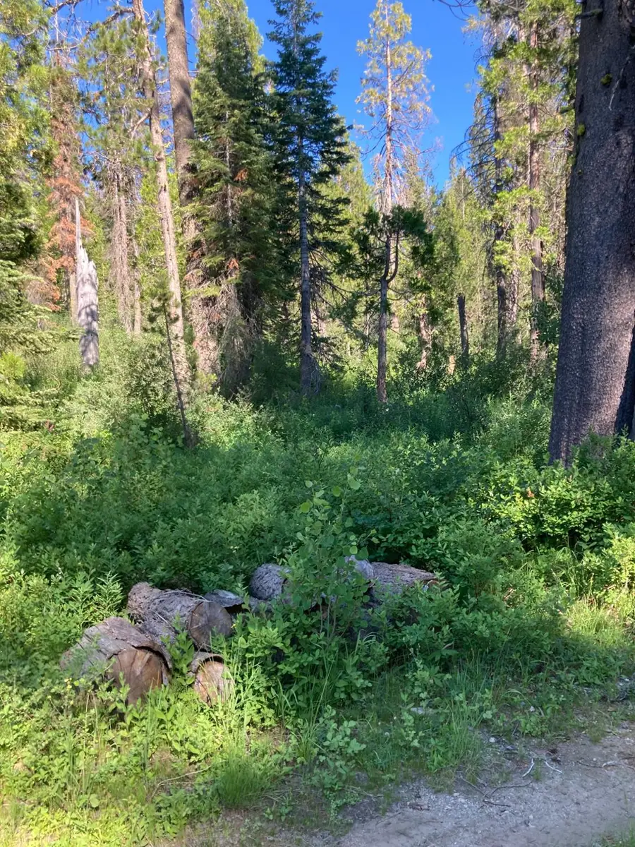 180 Bucks Meadow Drive, Bucks Lake, CA 95971 - #3