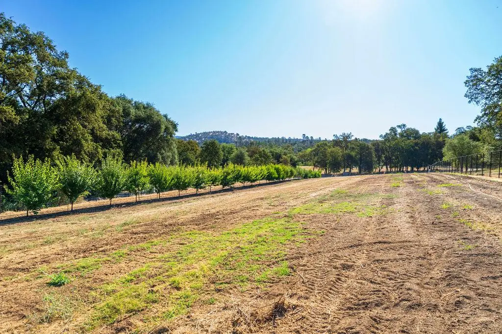 6800 Potts Trail, Browns Valley, CA 95918 - #1