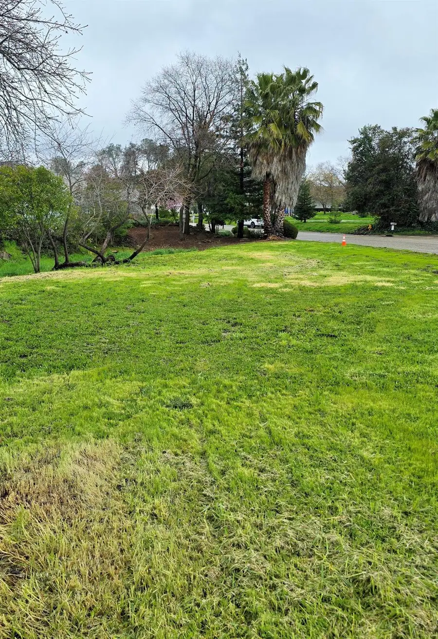 105 Bryson Drive, Sutter Creek, CA 95685 - #2