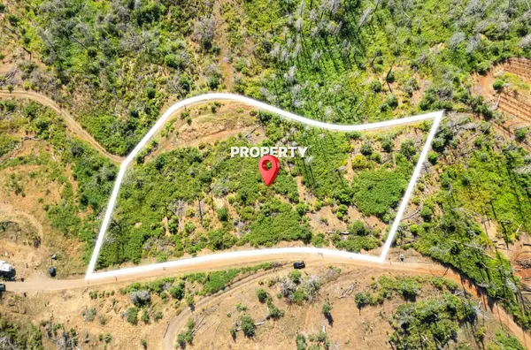 0 Pine Tree Lane, Berry Creek, CA 95916