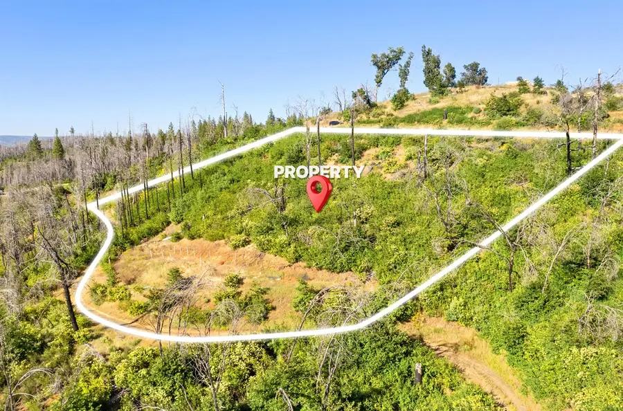 0 Pine Tree Lane, Berry Creek, CA 95916 - #2