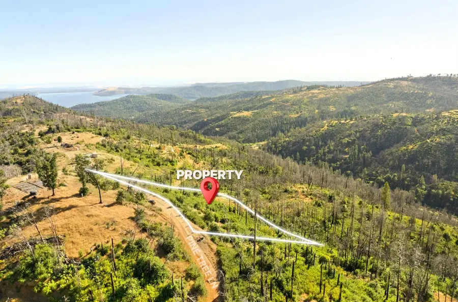 0 Pine Tree Lane, Berry Creek, CA 95916 - #3