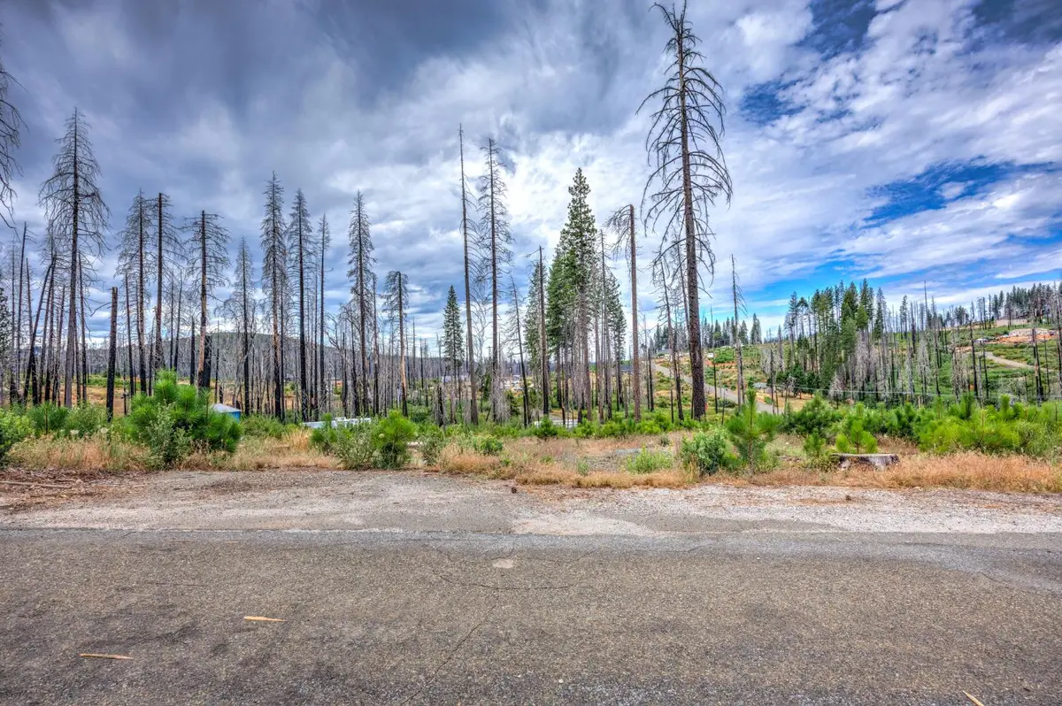 4529 String Canyon Road, Grizzly Flats, CA 95636 - #1