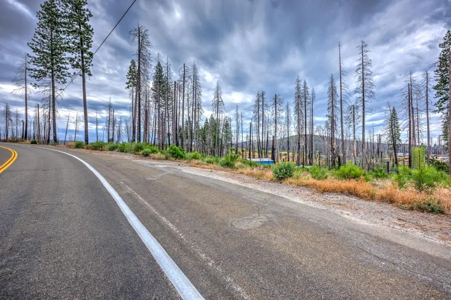 4529 String Canyon Road, Grizzly Flats, CA 95636 - #2