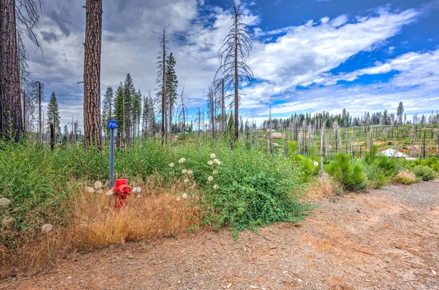 4529 String Canyon Road, Grizzly Flats, CA 95636 - #3
