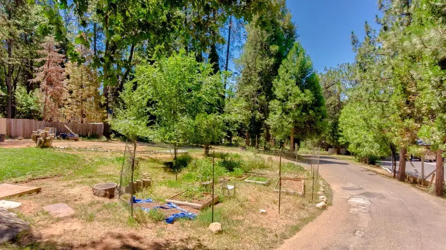 6350 State Highway 193, Georgetown, CA 95634 - #3