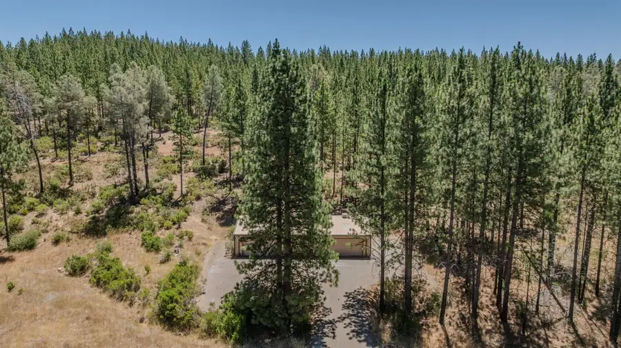 7559 Alamo Road, Mountain Ranch, CA 95246 - #2