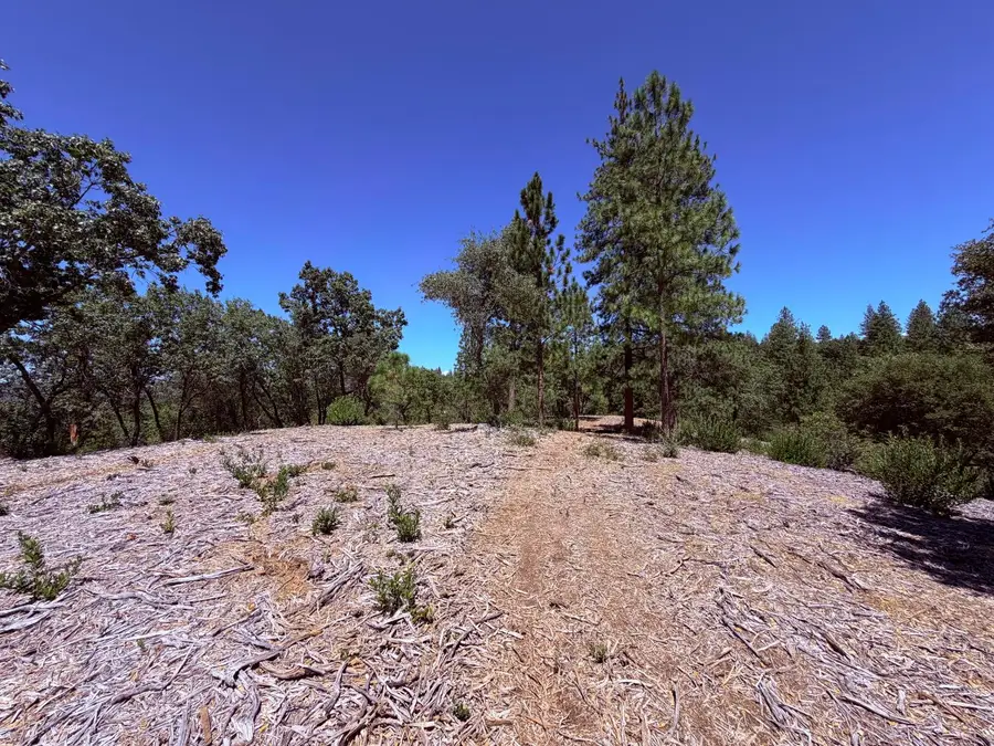 10 Big Oak Court, Placerville, CA 95667 - #3