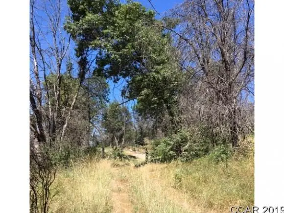 9040 Mountain Ranch Road, Mountain Ranch, CA 95246 - #2