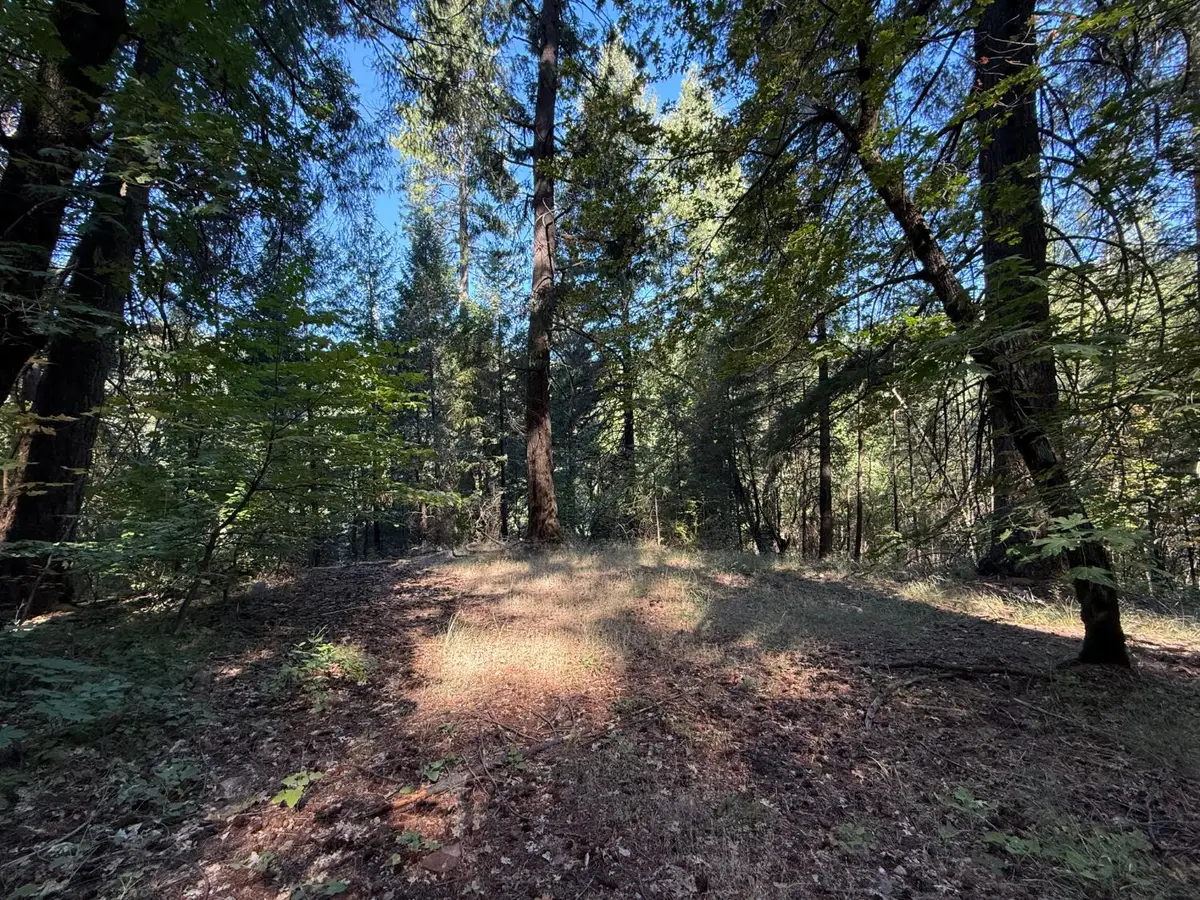 0 Blue Canyon Road, Emigrant Gap, CA 95715 - #1