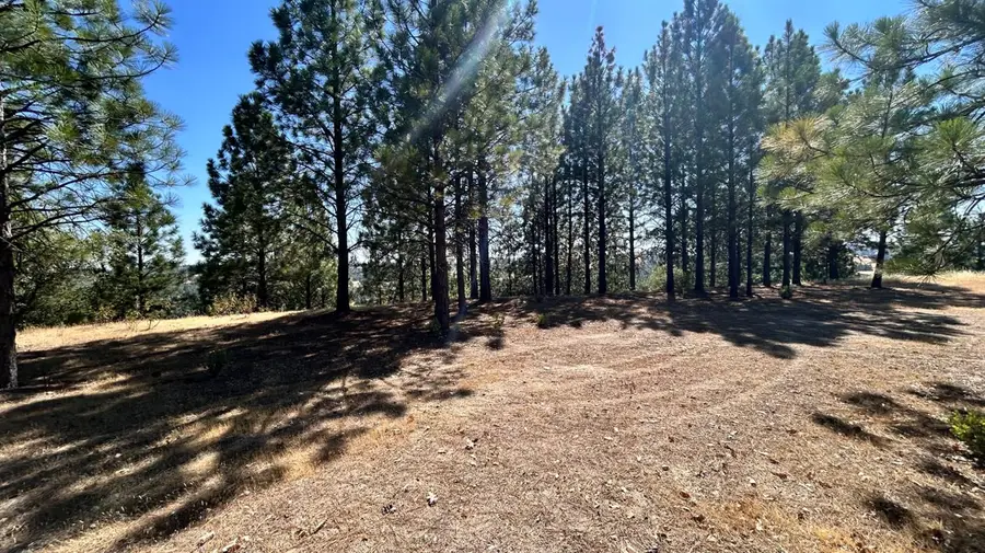 773 Red Fox Road, Mountain Ranch, CA 95246 - #2