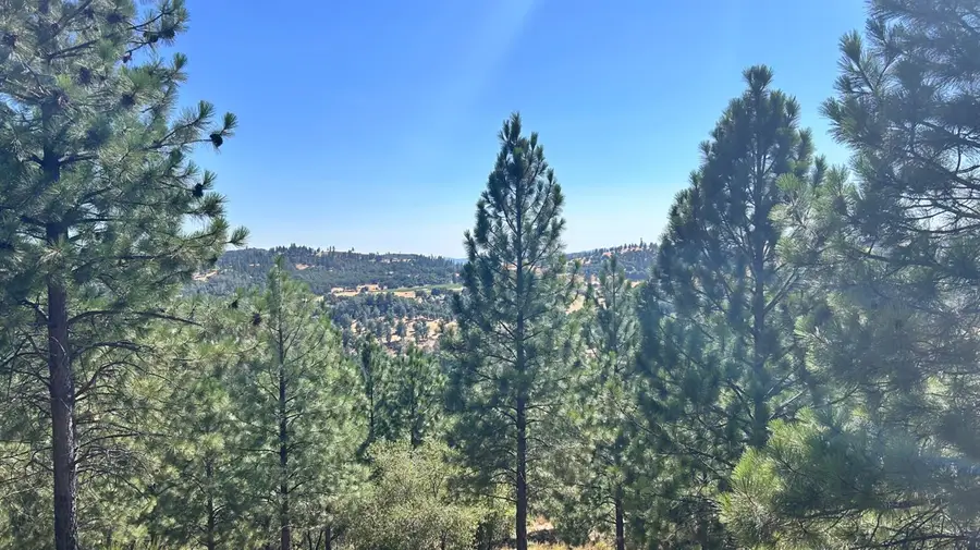 773 Red Fox Road, Mountain Ranch, CA 95246 - #3