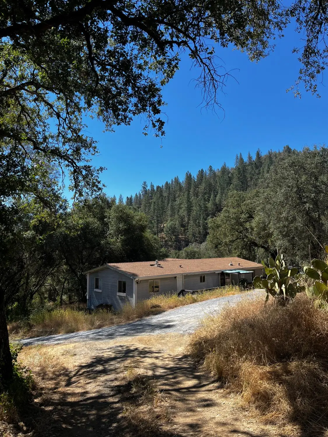 5569 Ca-49, Cool, CA 95614 - #1