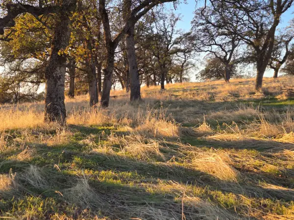 0 Avacado Road, Bangor, CA 95914