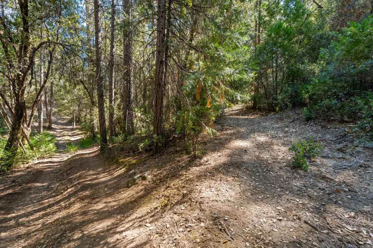 0 ., Placerville, CA 95667 - #1