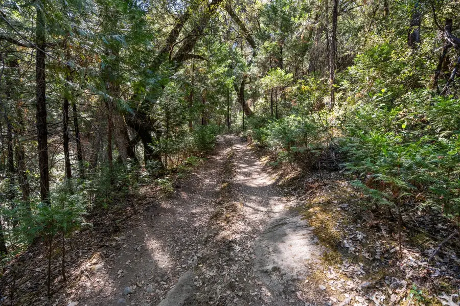 0 ., Placerville, CA 95667 - #3