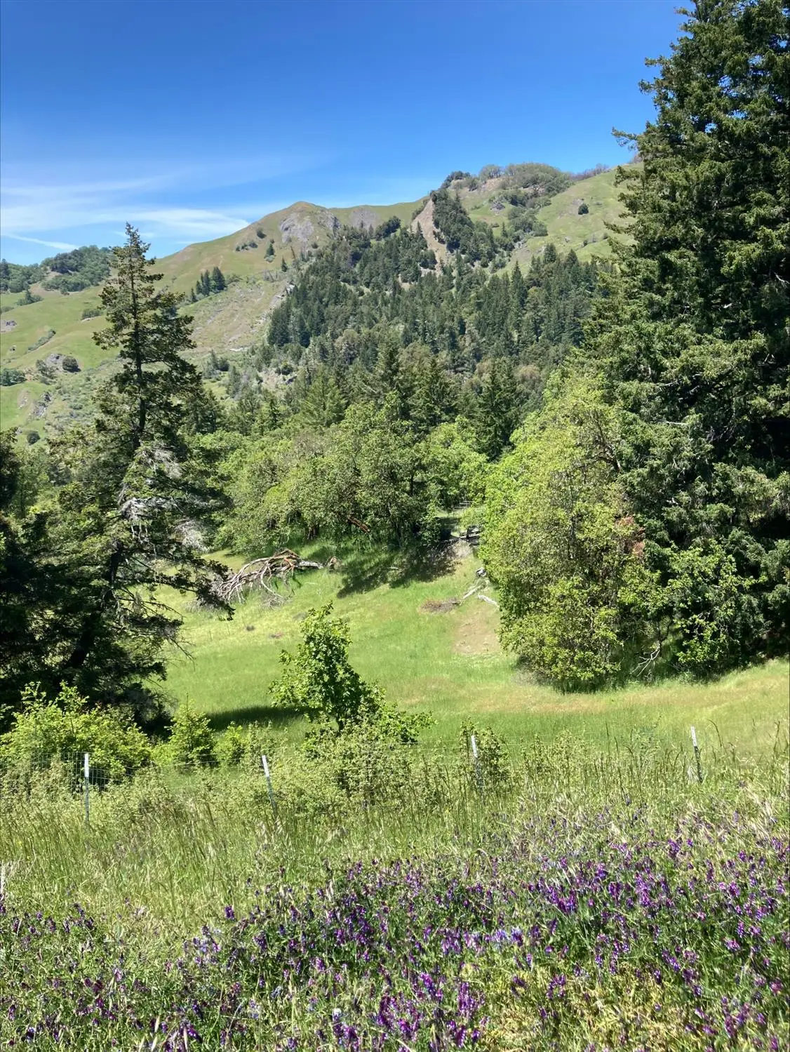 41345 State Highway 36, Bridgeville, CA 95526 - #1