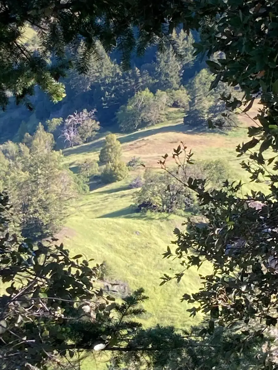 41345 State Highway 36, Bridgeville, CA 95526 - #2