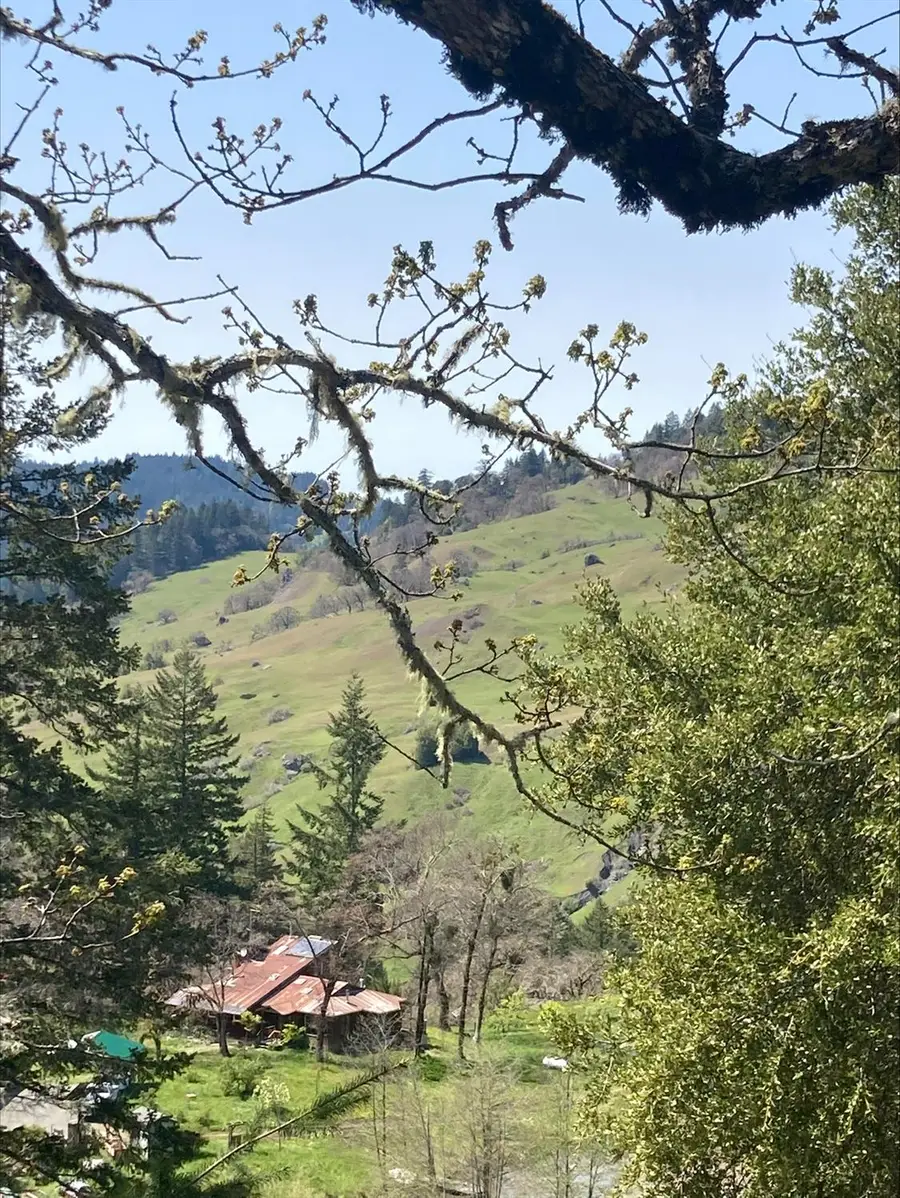 41345 State Highway 36, Bridgeville, CA 95526 - #3