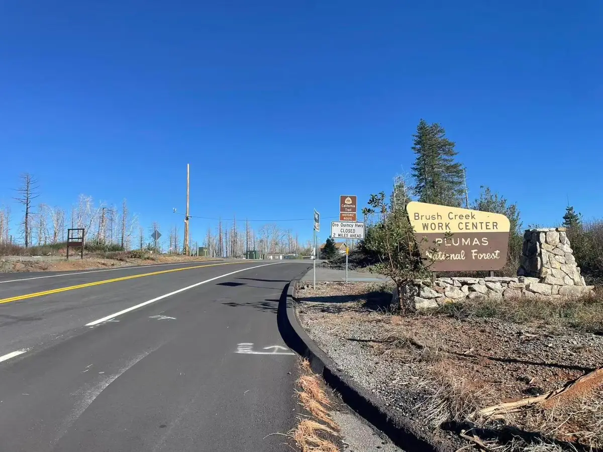 29 Sheltering Pines Road, Berry Creek, CA 95916 - #1