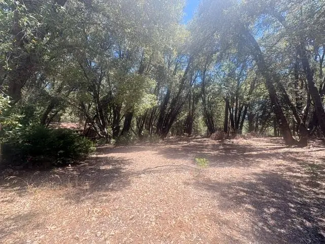 0 Middle Camp, Twain Harte, CA 95383 - #3