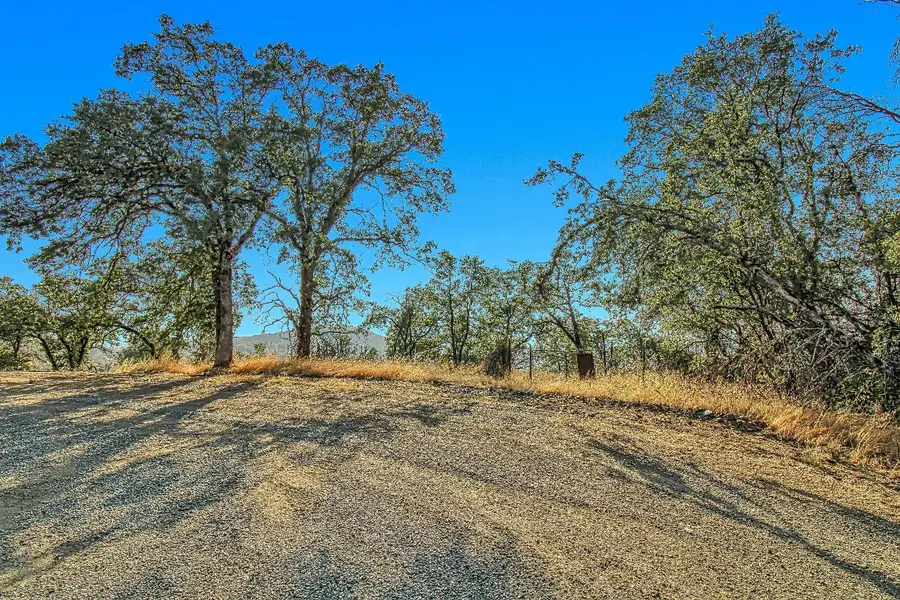 9955 Highway 49, Coulterville, CA 95311 - #3