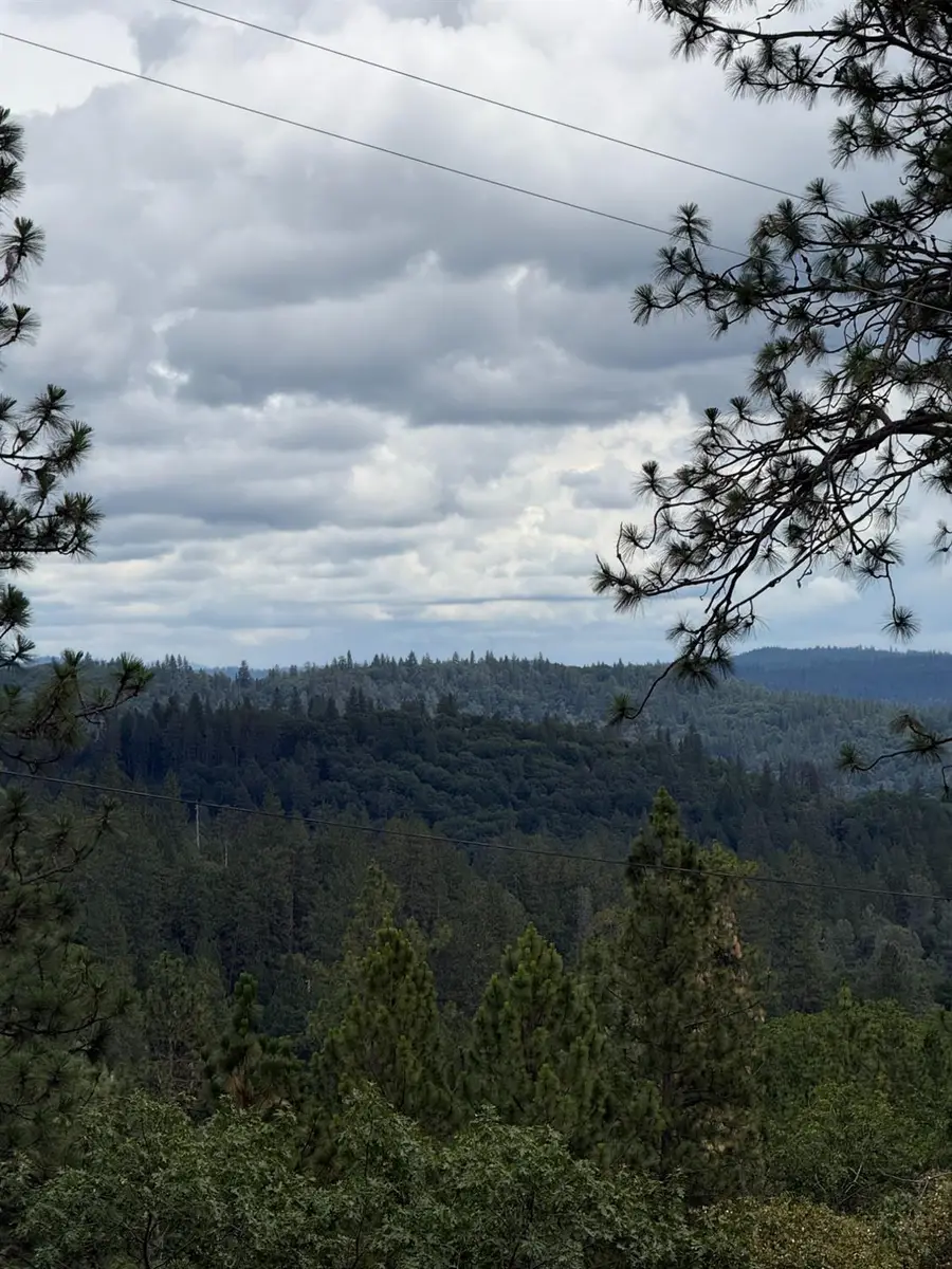 18060 Burgen Drive, Applegate, CA 95703 - #3