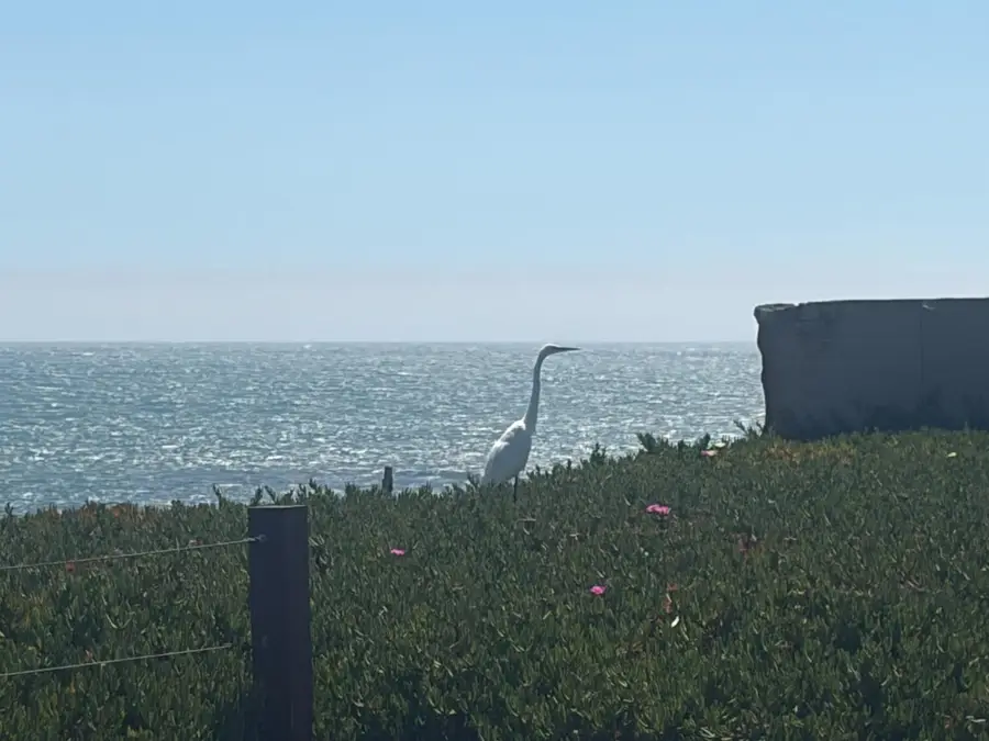 2395 Delaware Avenue #126, Santa Cruz, CA 95060 - #3