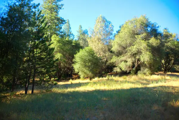 7771 Boondock Trail, Somerset, CA 95684