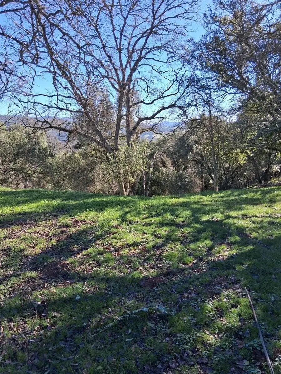 2708 Golden Gate Drive, San Andreas, CA 95249 - #2