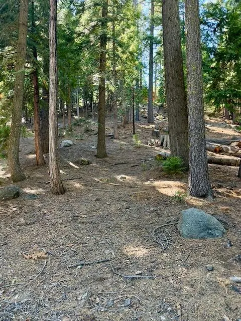 1534 Sierra Parkway, Dorrington, CA 95223 - #1