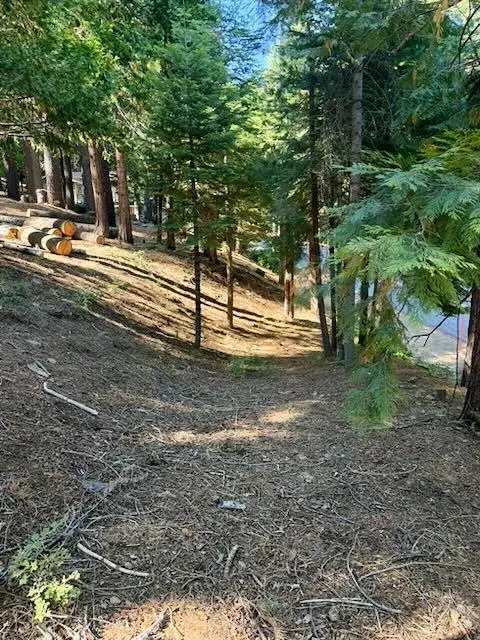 1534 Sierra Parkway, Dorrington, CA 95223 - #3